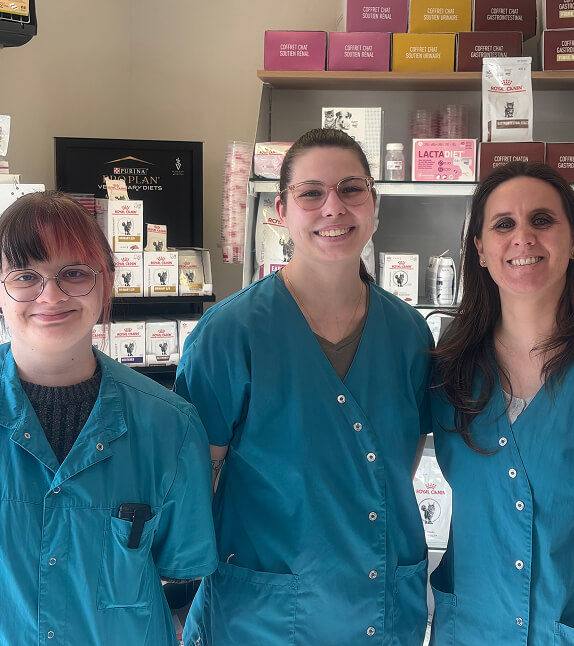Vétérinaires de la clinique mille pattes