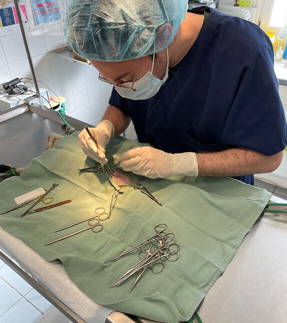Contact clinique vétérinaire Montataire