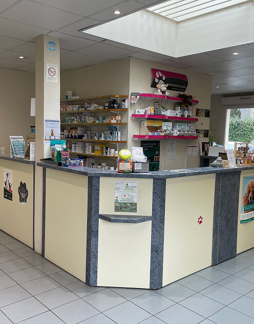 Accueil Clinique v&eacute;t&eacute;rinaire des Mille Pattes
