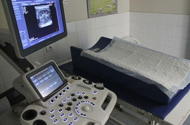 Imagerie médicale vétérinaire, radiographie vétérinaire, échographie vétérinaire 